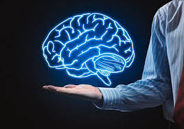 Premium Brain Booster+ - over inlichtingen - review - forum - instructie 